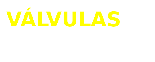 VALVULAS