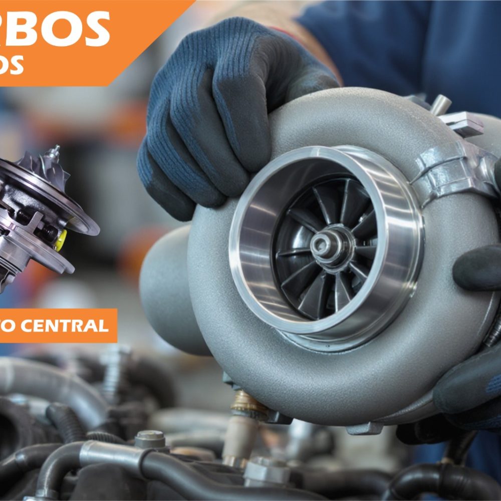 WhatsApp Image 2026-02-21 at 18.32.11 (2)